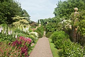 Main border with a definite emphasis on herbaceous perennials