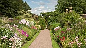 Main border with a definite emphasis on herbaceous perennials