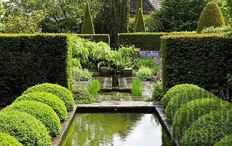 Two_rows_of_Buxus_sempervirens_balls_in_the_upper_rill_garden