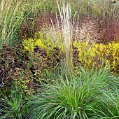 Stunning explosion of Autumn colour from mixed borders from a wide variety of perennials and ornamental grasses