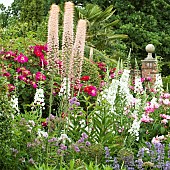 Borders of herbaceous perennials mature trees and shrubs