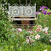 White ornate garden bench with summer flowering perennials