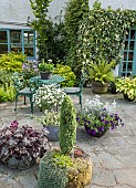 Patio area at Lilac Cottage (NGS) Staffordshire green wrought iron furniture variety of pots planted up ivy climbing walls of house