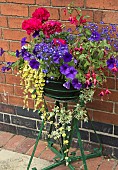 Metal plant stand with trailing summer flowering annuals of Ivy, Helichrysum, Petunia, and Lobelia