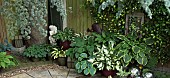Shade garden with a wide variety of Hosta`s
