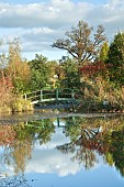 Arboretum Monet Bridge over pool