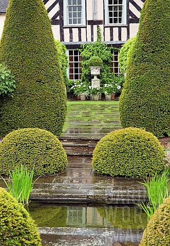 Tall_Yew_Yew_shaped_puddings_leading_to_the_house