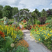 Garden with central oak pergola borders of hot coloured herbaceous perennials