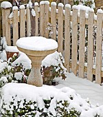 Snow and ice on Bird Bath and fence