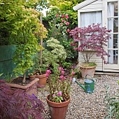 Summer Garden with summer house