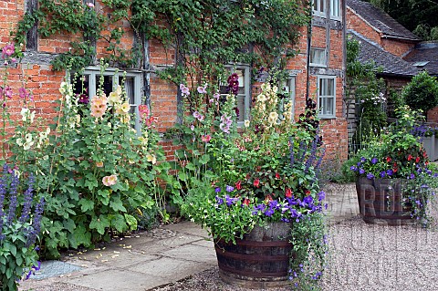Wooden_half_barrel_planters_with_annuals_and_perennials