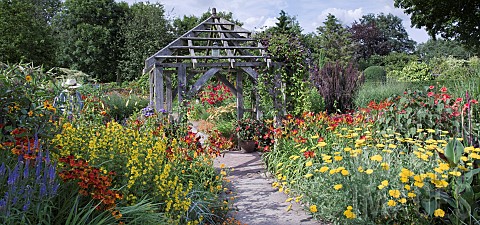 Garden_Room_hot_coloured_herbaceaous_perennials