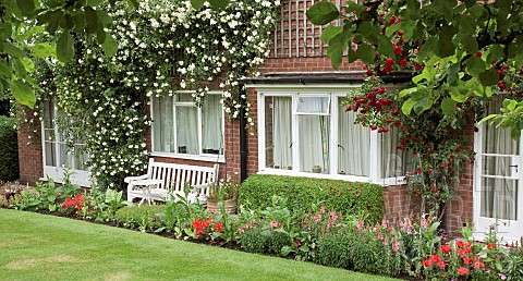 Red_and_white_scented_climbing_roses_on_house_front