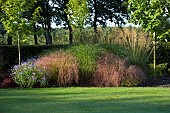 Border with Asters and wide a variety of perennial ornamental grass and trees
