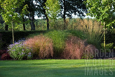 Border_with_Asters_and_wide_a_variety_of_perennial_ornamental_grass_and_trees