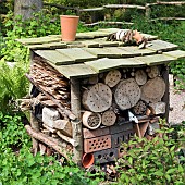 Large Insect home, shelter or bug house