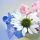 Studio White Blue and Pink flowers arranged in Vase