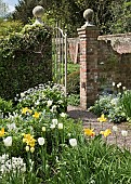Brick wall and paths, iron gate, borders of spring bulbs, mature trees