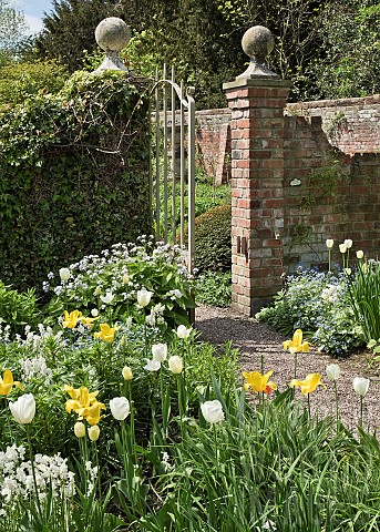 Brick_wall_and_paths_iron_gate_borders_of_spring_bulbs_mature_trees