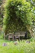 WILLOW ARBOUR AT THE MANOR HEMMINGFORD GREY