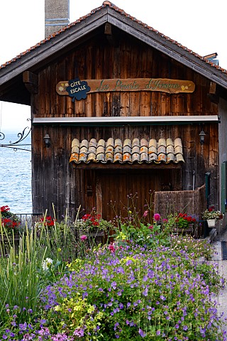 HOUSE_ON_LAKE_LEMAN_IN_FRANCE_WITH_PRETTY_GARDEN_INCLUDING_DAHLIA_GERANIUM_AND_VERBENA