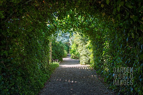 AN_IVY_CLAD_TUNNEL_AT_EAST_RUSTON_OLD_VICARAGE_GARDEN