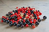 RIBES, BLACK, RED AND WHITE CURRANTS