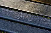 FROST ON BENCH