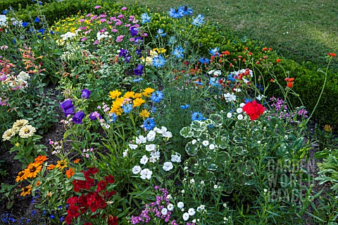 INFORMAL_SUMMER_BEDDING_WITH_HARDY_ANNUALS