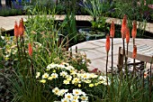 PATIO WITH KNIPHOFIA ARGYRANTHEMUM AND A POOL