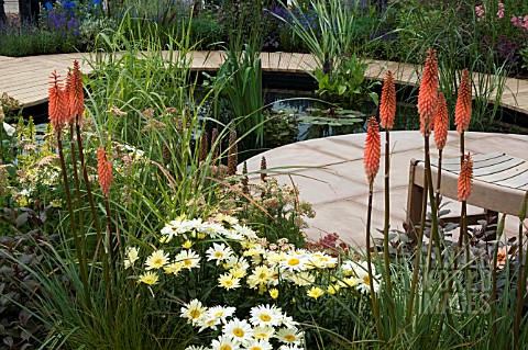 PATIO_WITH_KNIPHOFIA_ARGYRANTHEMUM_AND_A_POOL