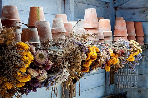 DRYING_FLOWERS_IN_THE_POTTING_SHED