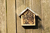 Bee hotel on a garden fence, Suffolk, England, UK