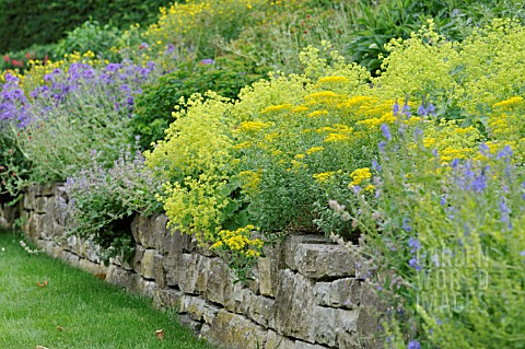 PERENNIAL_GARDEN_WITH_DRY_STONE_WALL