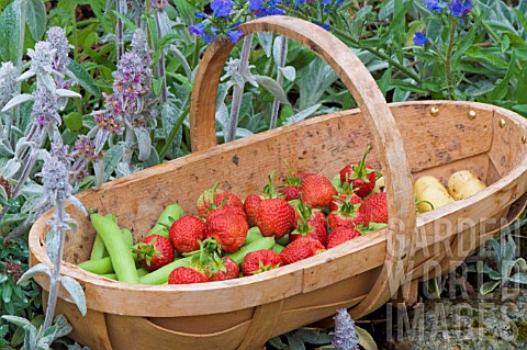 TRUG_WITH_STRAWBERRIES_AND_VEGETABLES