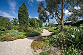 THE DROUGHT RESISTANT GRAVEL GARDEN AT BETH CHATTO GARDENS.