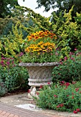 RUDBECKIA IN LARGE CONTAINER VASE,  RUSTIC DWARVES AND HIRTA TOTO