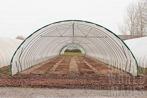 POLY_TUNNEL