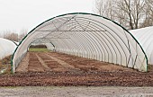 POLY TUNNEL