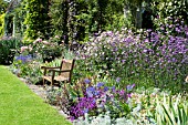 HERBACEOUS BORDER WITH GARDEN SEAT, WEST DEAN GARDENS, SUSSEX, JULY