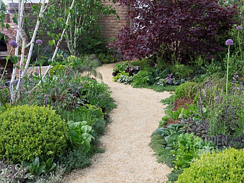 GRAVEL_PATH_LINED_WITH_CAMOMILE_AND_VEGETABLES
